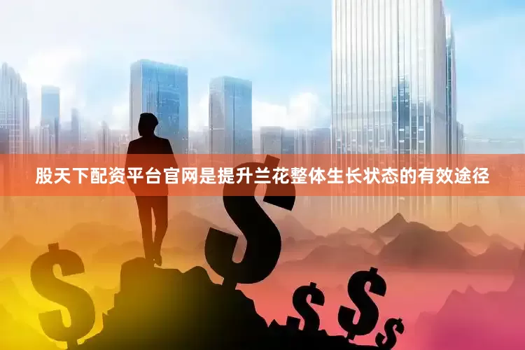股天下配资平台官网是提升兰花整体生长状态的有效途径